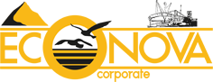 Econova Logo